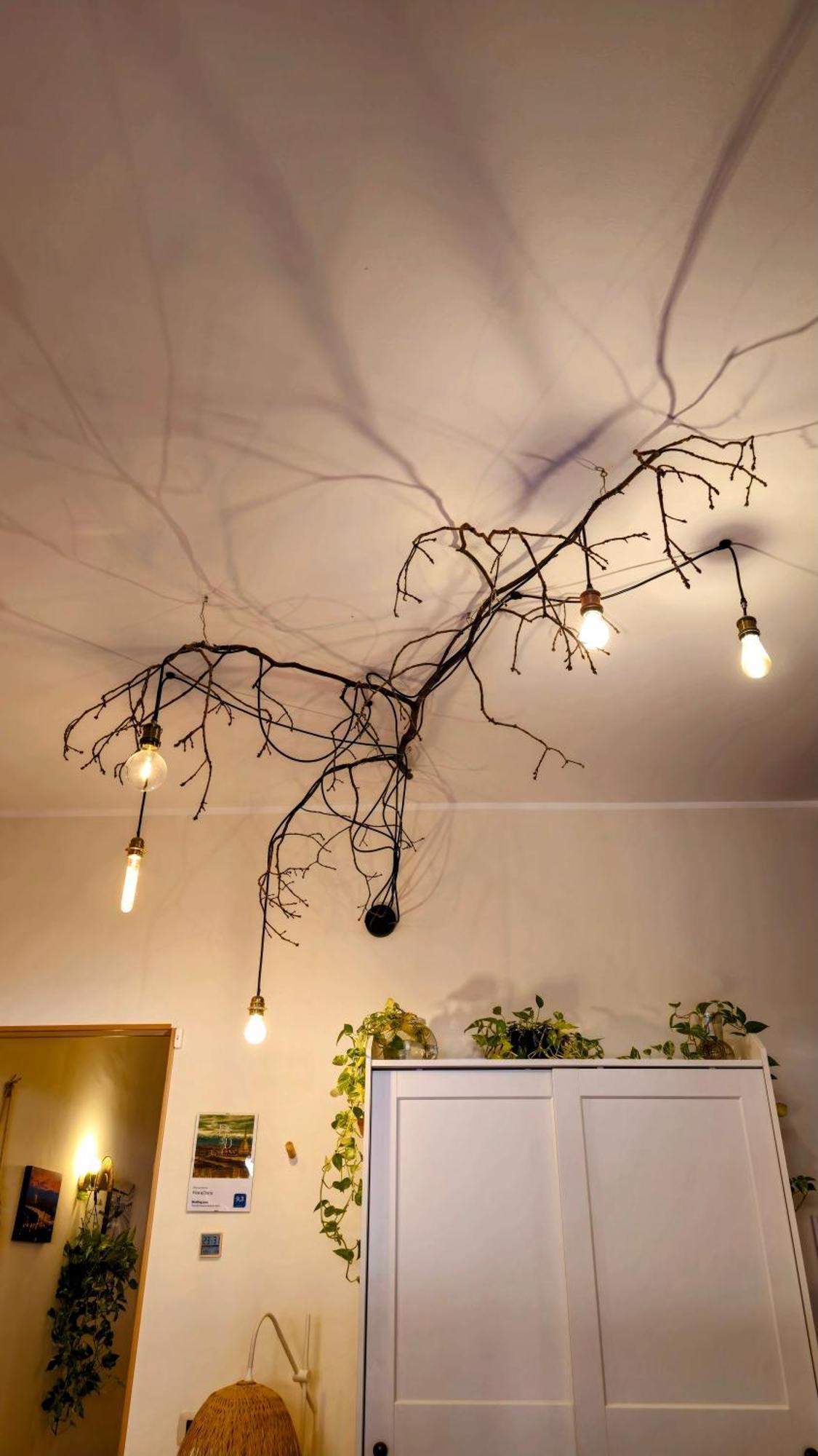 Floradora Apartment Turin Luaran gambar